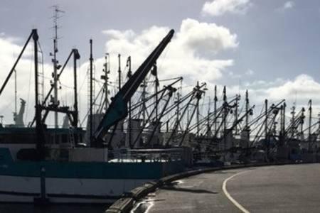 Port Lincoln Shark Apartment 3 Εξωτερικό φωτογραφία